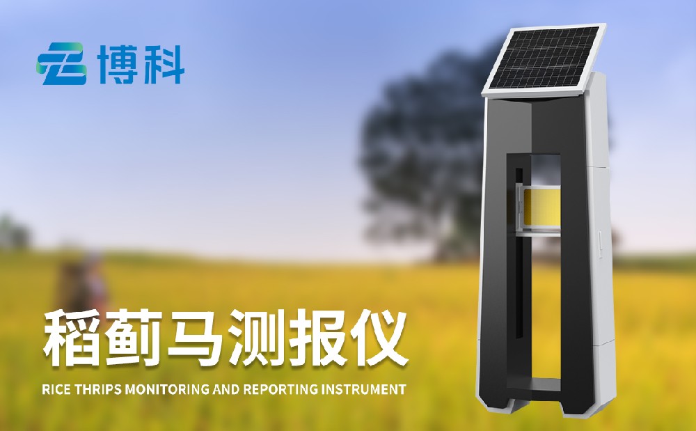 稻蓟马测报仪帮助用户更好治理水稻蓟马病害