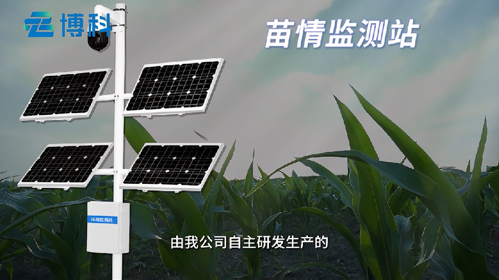 苗情监测站清楚掌握田间动态