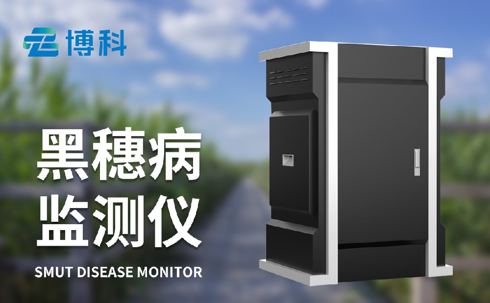 玉米黑穗病监测仪