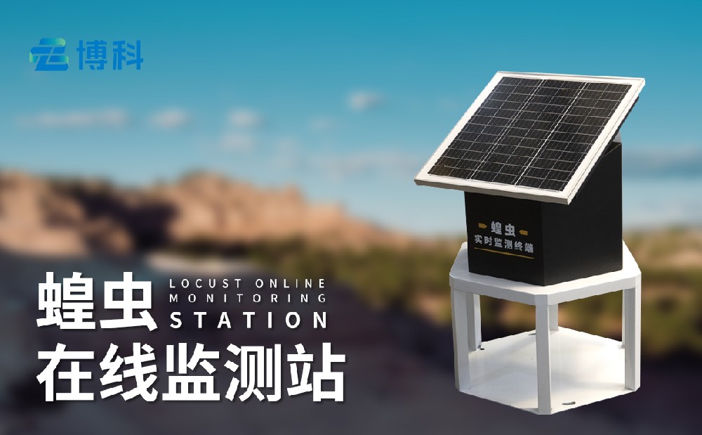 蝗虫监测仪