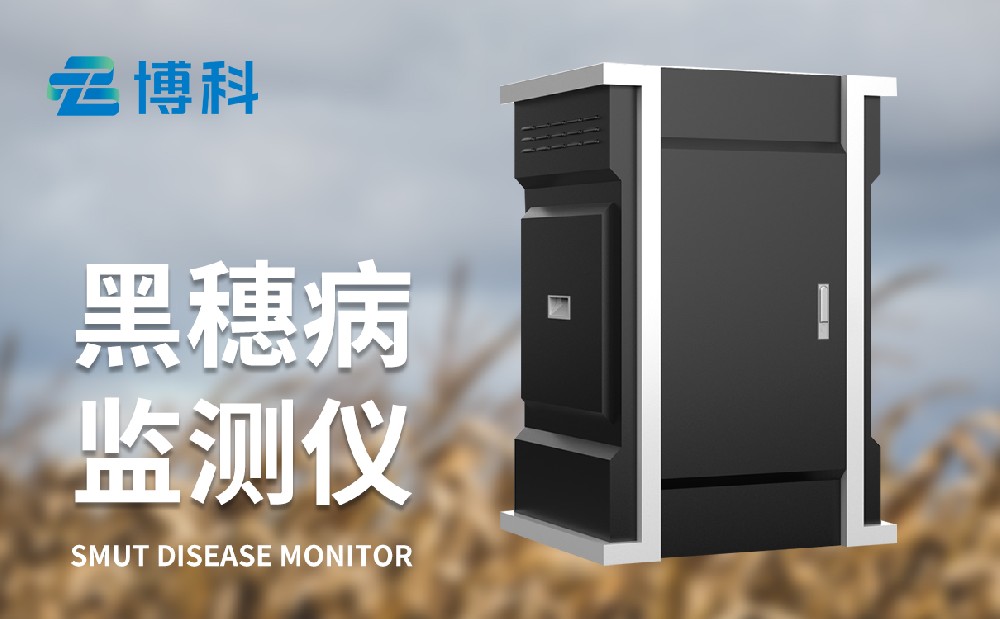 玉米黑穗病监测仪
