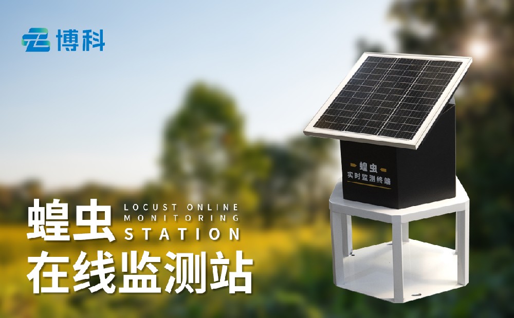 蝗虫在线监测站