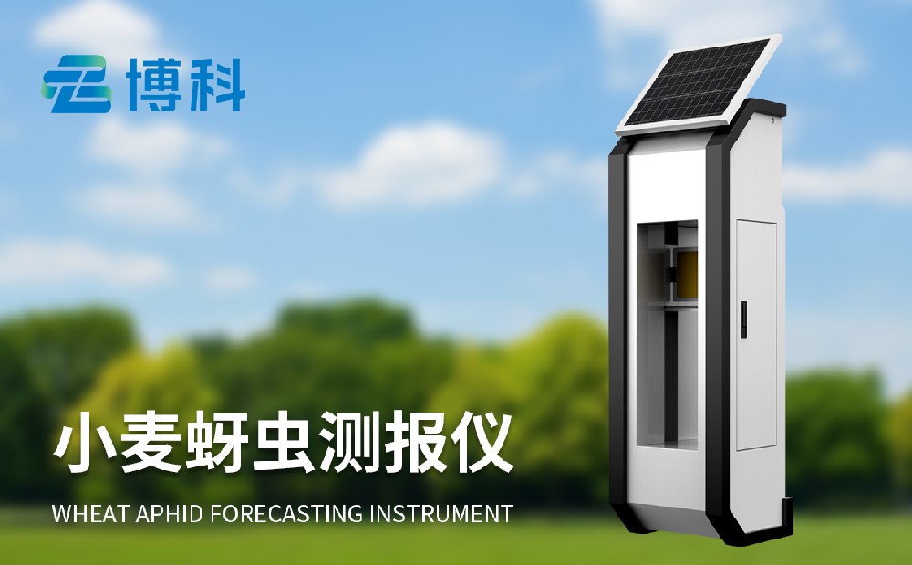 小麦蚜虫测报仪