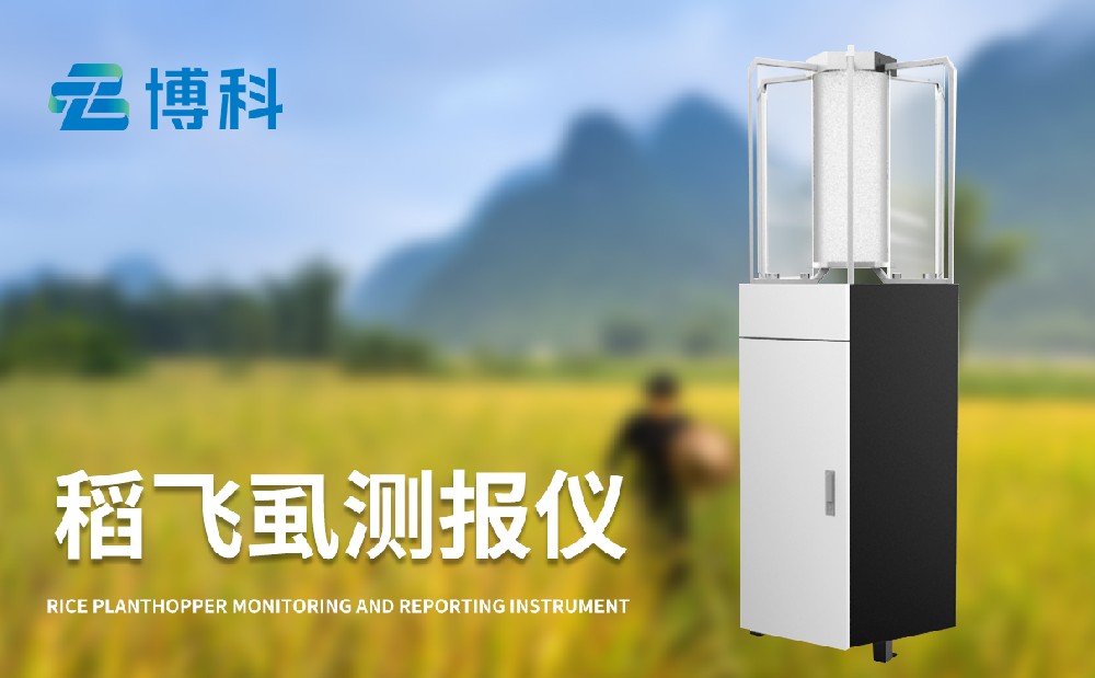 稻飞虱测报仪助力科学防控稻飞虱